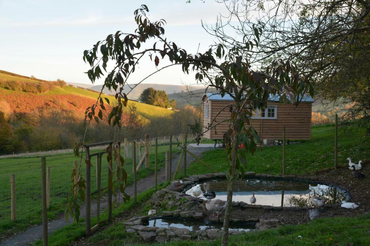 Snug Oak Hut With A View On A Welsh Hill Farm Apartment เบรคอน ภายนอก รูปภาพ